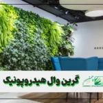 دیوار سبز هیدروپونیک: راهنمای کامل ساخت مزایا و مقایسه