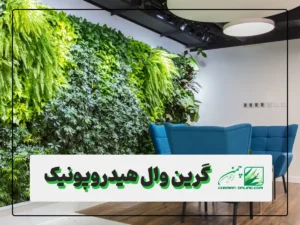 دیوار سبز هیدروپونیک: راهنمای کامل ساخت مزایا و مقایسه